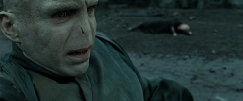 RdM2-Potterish_12535.jpg