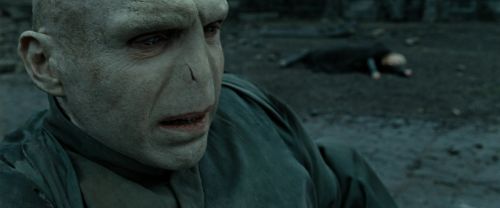 RdM2-Potterish_12536.jpg