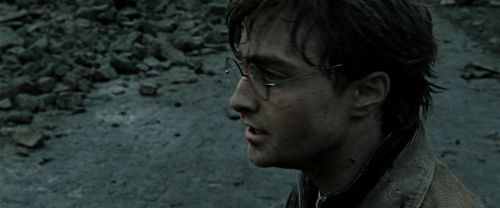 RdM2-Potterish_12540.jpg
