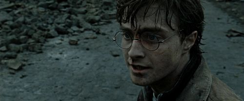 Click to view full size image
==============
RdM2-Potterish_12541.jpg RdM2-Potterish_12541.jpg