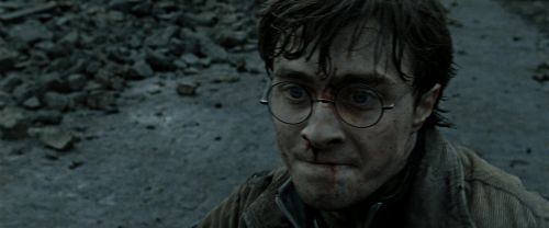RdM2-Potterish_12548.jpg