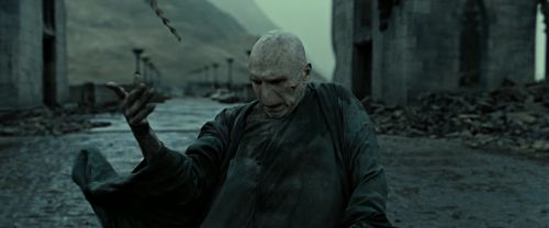 RdM2-Potterish_12581.jpg