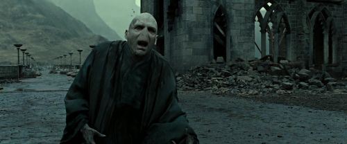 RdM2-Potterish_12608.jpg