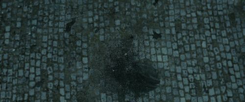 Click to view full size image
==============
RdM2-Potterish_12648.jpg RdM2-Potterish_12648.jpg
