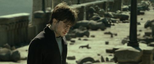 RdM2-Potterish_12860.jpg
