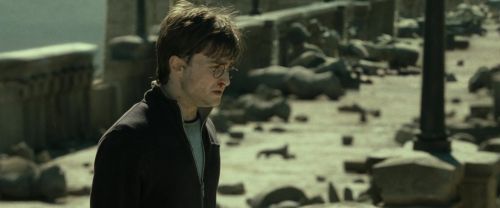 Click to view full size image
==============
RdM2-Potterish_12861.jpg RdM2-Potterish_12861.jpg