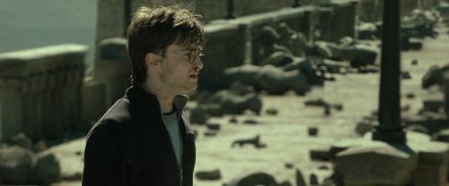 RdM2-Potterish_12862.jpg
