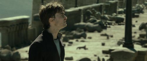 RdM2-Potterish_12863.jpg