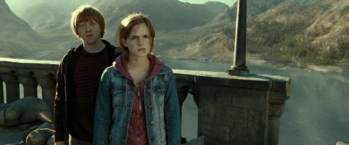 RdM2-Potterish_12937.jpg