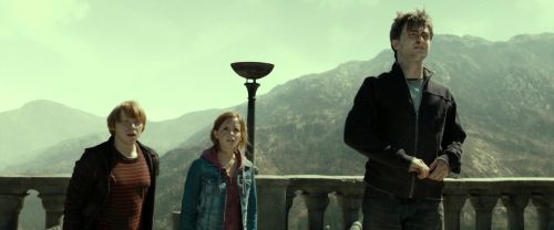 RdM2-Potterish_13009.jpg