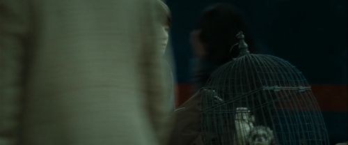 RdM2-Potterish_13194.jpg