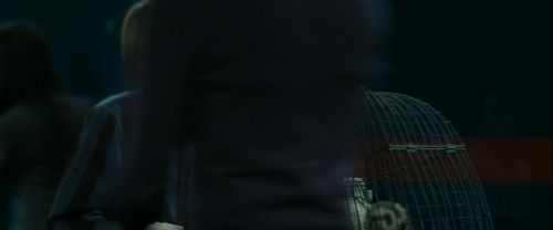 RdM2-Potterish_13195.jpg