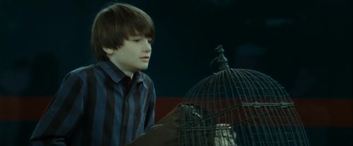 RdM2-Potterish_13196.jpg