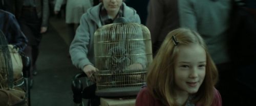 Click to view full size image
==============
RdM2-Potterish_13203.jpg RdM2-Potterish_13203.jpg