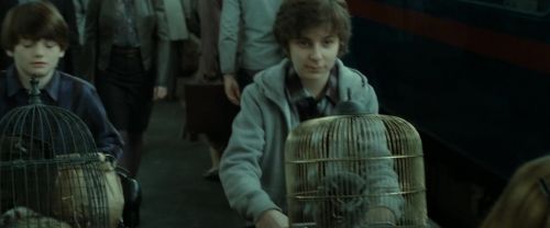 Click to view full size image
==============
RdM2-Potterish_13205.jpg RdM2-Potterish_13205.jpg