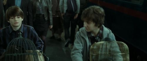 RdM2-Potterish_13206.jpg
