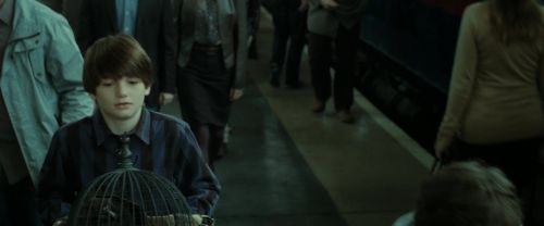 Click to view full size image
==============
RdM2-Potterish_13208.jpg RdM2-Potterish_13208.jpg