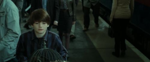 Click to view full size image
==============
RdM2-Potterish_13209.jpg RdM2-Potterish_13209.jpg