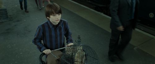 Click to view full size image
==============
RdM2-Potterish_13240.jpg RdM2-Potterish_13240.jpg