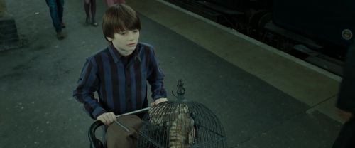 RdM2-Potterish_13241.jpg