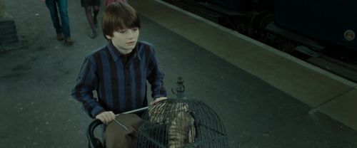 RdM2-Potterish_13242.jpg