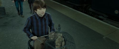 RdM2-Potterish_13243.jpg