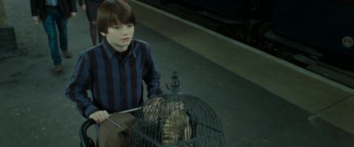 RdM2-Potterish_13244.jpg