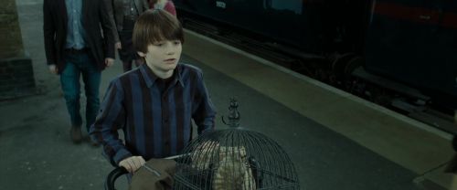 Click to view full size image
==============
RdM2-Potterish_13246.jpg RdM2-Potterish_13246.jpg