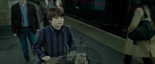 Click to view full size image
==============
RdM2-Potterish_13247.jpg RdM2-Potterish_13247.jpg