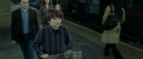 Click to view full size image
==============
RdM2-Potterish_13248.jpg RdM2-Potterish_13248.jpg