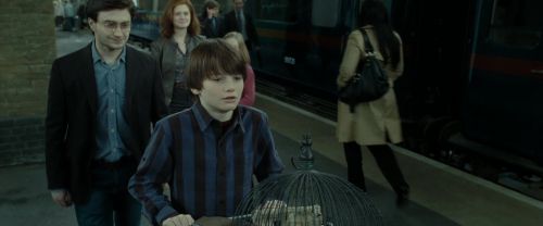 RdM2-Potterish_13249.jpg