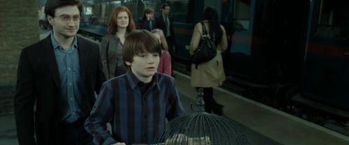 RdM2-Potterish_13250.jpg