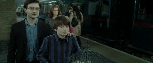 RdM2-Potterish_13251.jpg