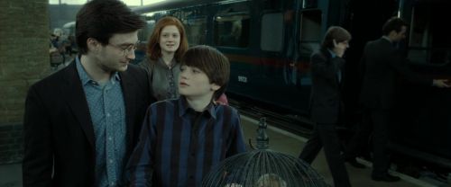 RdM2-Potterish_13256.jpg