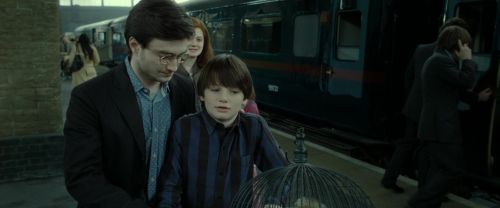 RdM2-Potterish_13258.jpg