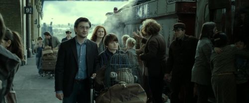 RdM2-Potterish_13297.jpg