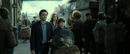 RdM2-Potterish_13298.jpg
