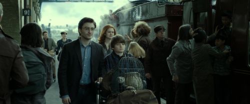 RdM2-Potterish_13299.jpg