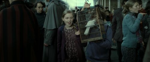 RdM2-Potterish_13301.jpg