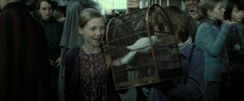 RdM2-Potterish_13302.jpg