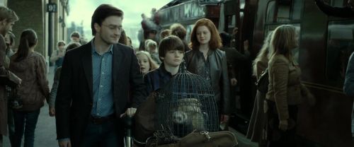 RdM2-Potterish_13309.jpg
