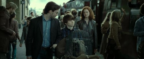 RdM2-Potterish_13310.jpg