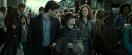 RdM2-Potterish_13312.jpg