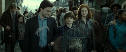 RdM2-Potterish_13313.jpg