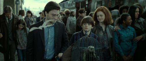 RdM2-Potterish_13314.jpg