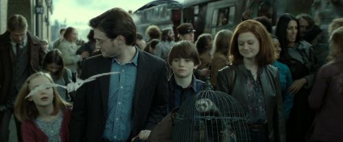 Click to view full size image
==============
RdM2-Potterish_13315.jpg RdM2-Potterish_13315.jpg