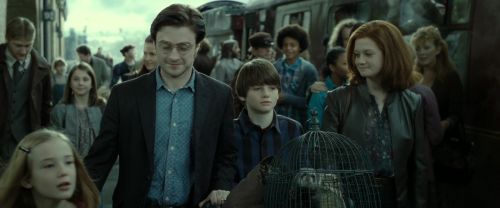 RdM2-Potterish_13317.jpg