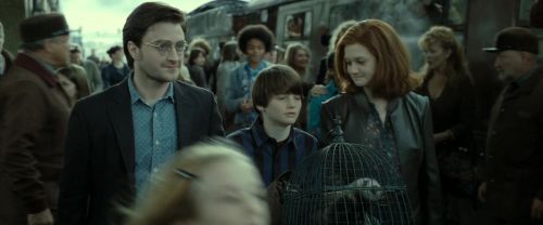RdM2-Potterish_13318.jpg