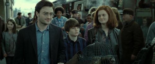 Click to view full size image
==============
RdM2-Potterish_13319.jpg RdM2-Potterish_13319.jpg