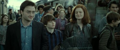 RdM2-Potterish_13320.jpg